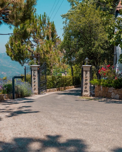 Cherry Blossom Boutique Hotel image 14