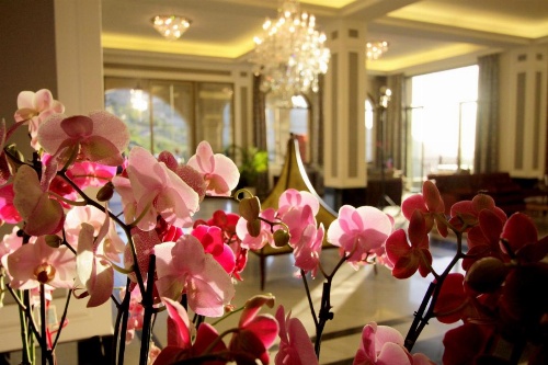 Cherry Blossom Boutique Hotel image 34